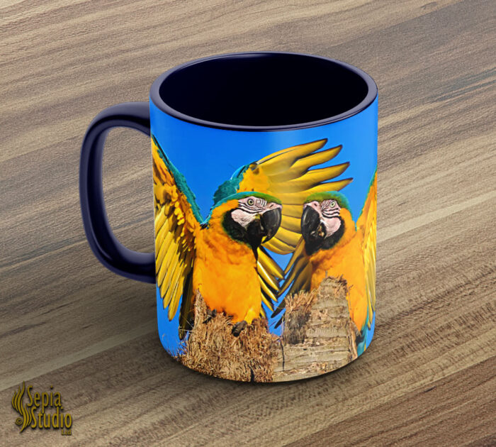 Ceramic Mug 11oz ( Wildlife ) Blue & Yellow Macaw