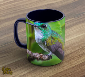 Ceramic Mug 11oz ( Hummingbird ) White Chested Emerald 3