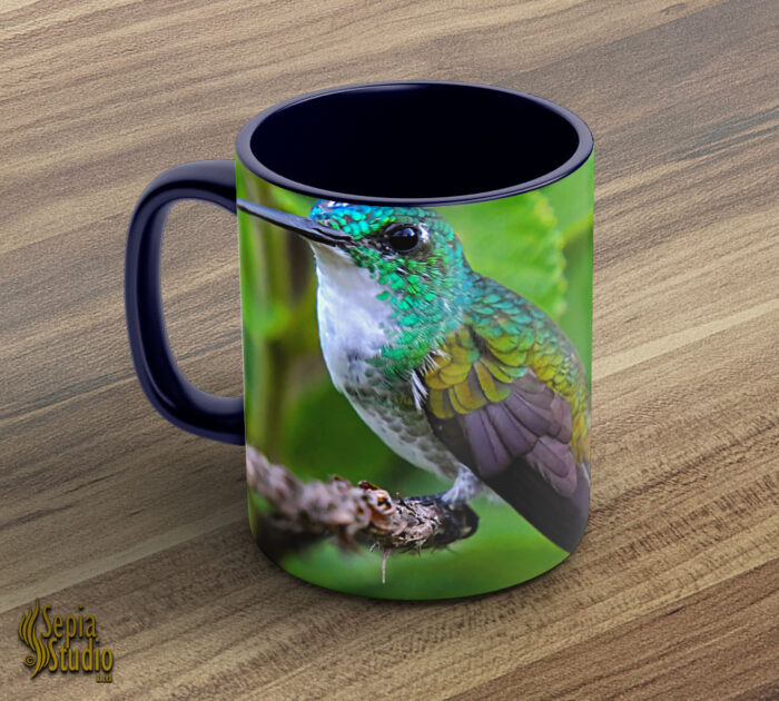 Ceramic Mug 11oz ( Hummingbird ) White Chested Emerald 3