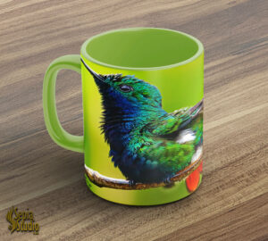 Ceramic Mug 11oz ( Hummingbird ) Black Throated Mango Male 2