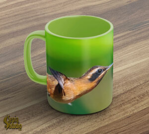 Ceramic Mug 11oz ( Hummingbird ) Little Hermit