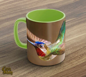 Ceramic Mug 11oz ( Hummingbird ) Long Billed Starthroat