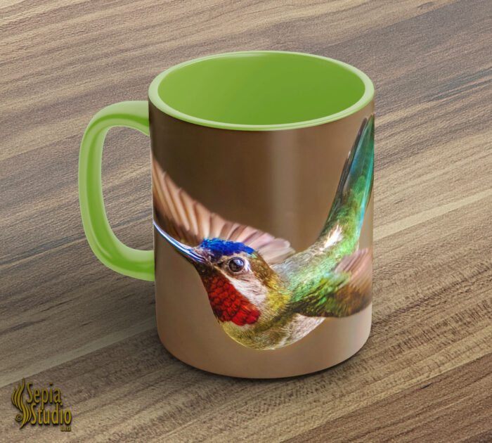 Ceramic Mug 11oz ( Hummingbird ) Long Billed Starthroat