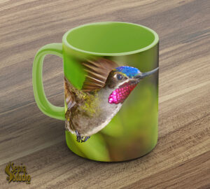 Ceramic Mug 11oz ( Hummingbird ) Long Billed Starthroat 2