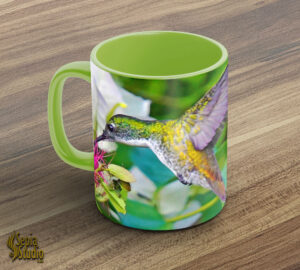 Ceramic Mug 11oz ( Hummingbird ) White Chested Emerald Feeding