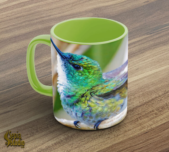 Ceramic Mug 11oz ( Hummingbird ) White Chested Emerald 2