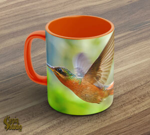 Ceramic Mug 11oz ( Hummingbird ) Rufous Breasted Hermit
