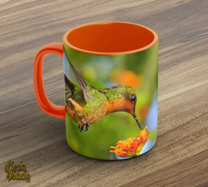 Ceramic Mug 11oz ( Hummingbird ) Tufted Coquette Female Feeding