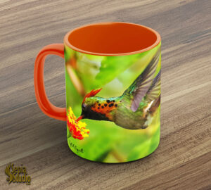 Ceramic Mug 11oz ( Hummingbird ) Tufted Coquette Male Feeding