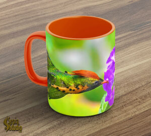 Ceramic Mug 11oz ( Hummingbird ) Tufted Coquette Male Feeding 2