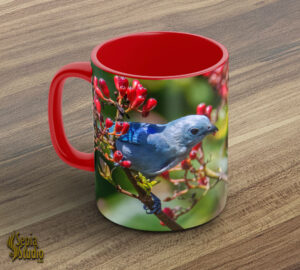 Ceramic Mug 11oz ( Wildlife ) Blue Tanager