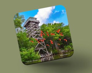Corkback Coaster (Birds) Caroni Bird Sanctuary