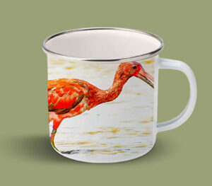 Enamel Mugs 17oz ( Bird ) Scarlet Ibis