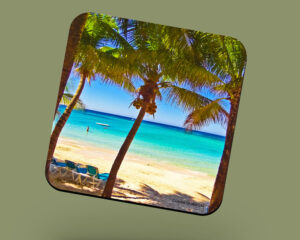 Corkback Coaster (Tobago) Englishmans Bay