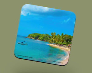 Corkback Coaster (Tobago)  Mount Irvine Beach