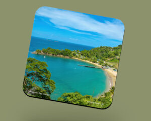 Corkback Coaster (Tobago) Parlatuvier Bay