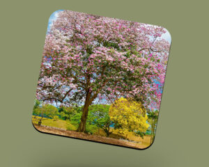 Corkback Coaster (Landscape) Pink and Yellow Poui