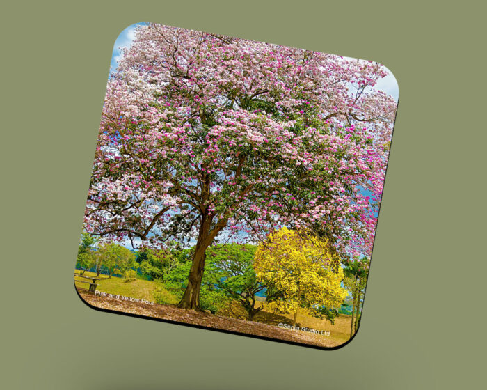 Corkback Coaster (Landscape) Pink and Yellow Poui