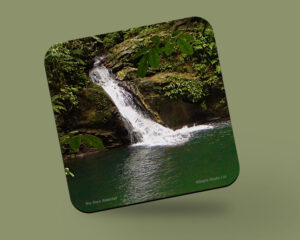 Corkback Coaster (Waterfall) Rio Seco