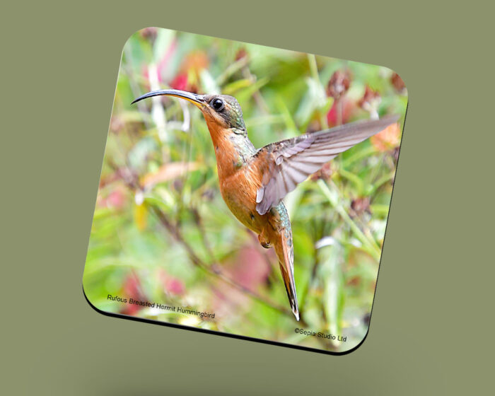 Corkback Coaster (Hummingbird) Rufous Breasted Hermit