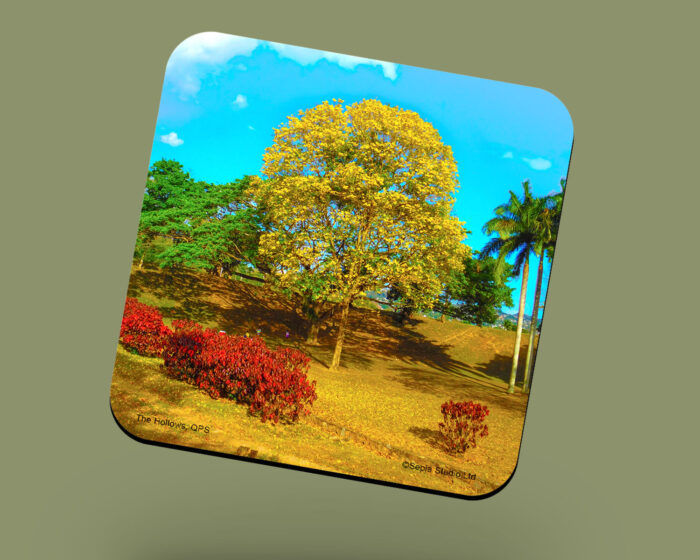 Corkback Coaster (Landscape) Yellow Poui- The Hollows
