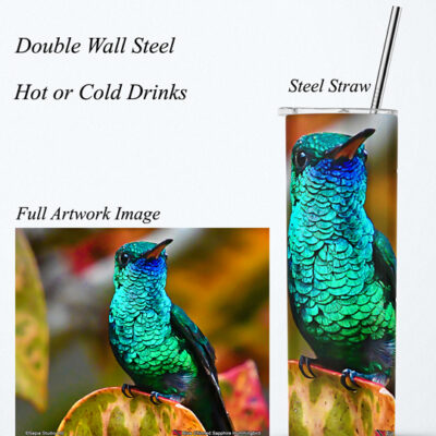 Steel Tumbler 20oz ( Hummingbird ) Blue Chinned Sapphire