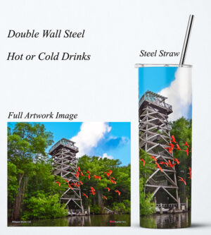 Steel Tumbler 20oz ( Caroni ) Caroni Bird Santuary Tower