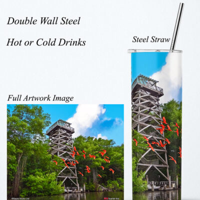 Steel Tumbler 20oz ( Caroni ) Caroni Bird Santuary Tower