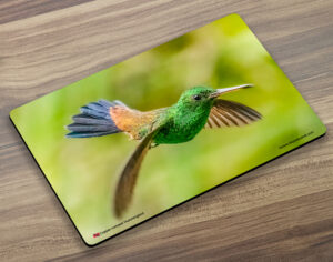 Placemat (Hummingbird) Copper Rumped