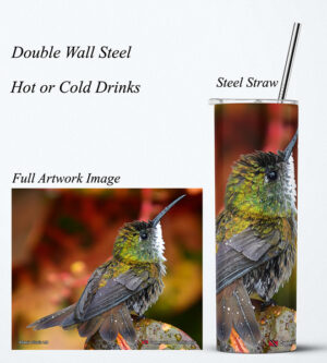 Steel Tumbler 20oz ( Hummingbird ) Copper Rumped