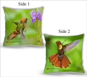 Cushion Covers 18" ( Hummingbirds ) Tufted Coquette (M) & RubyTopaz (M) Hummingbird