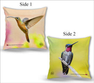Cushion Covers 18" ( Hummingbirds ) Rufous Breasted Hermit & Long billed Starthroat
