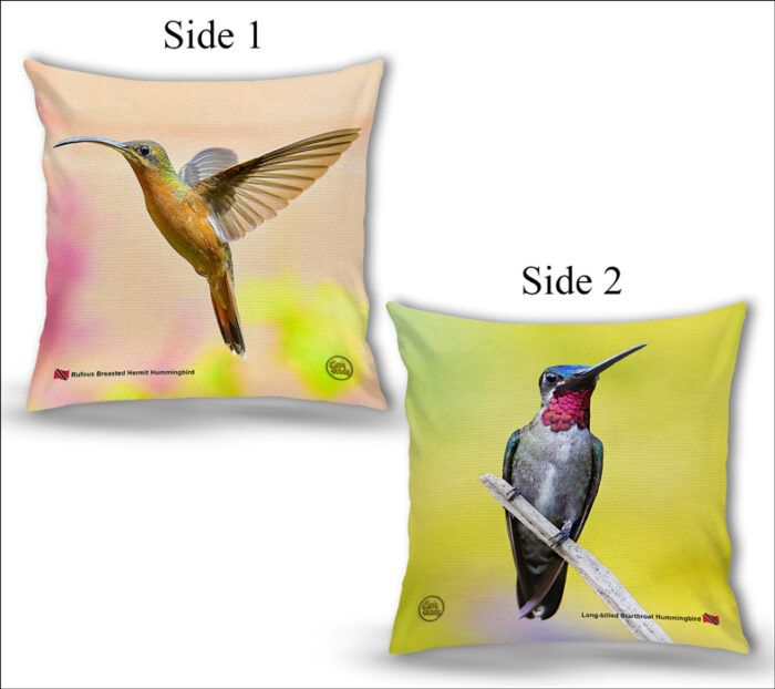 Cushion Covers 18" ( Hummingbirds ) Rufous Breasted Hermit & Long billed Starthroat