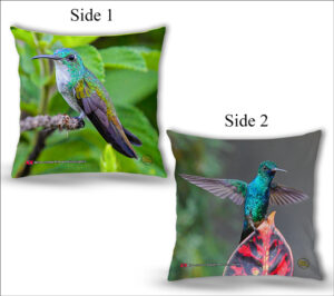 Cushion Covers 18" ( Hummingbirds ) Blue Chinned Sapphire & White Chested Emerald