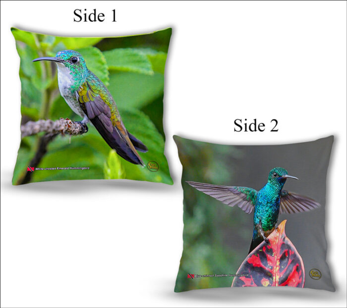 Cushion Covers 18" ( Hummingbirds ) Blue Chinned Sapphire & White Chested Emerald