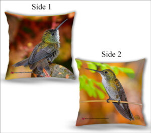 Cushion Covers 18" ( Hummingbirds ) Copper Rumped & White Chested Emerald