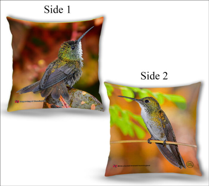 Cushion Covers 18" ( Hummingbirds ) Copper Rumped & White Chested Emerald