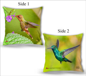 Cushion Covers 18" ( Hummingbirds ) Tufted Coquette (F) & Blue-chinned Sapphire Hummingbird