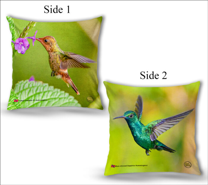 Cushion Covers 18" ( Hummingbirds ) Tufted Coquette (F) & Blue-chinned Sapphire Hummingbird