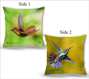 Cushion Covers 18" ( Hummingbirds ) Black Throated Mango & Ruby Topaz Hummingbird