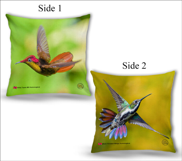 Cushion Covers 18" ( Hummingbirds ) Black Throated Mango & Ruby Topaz Hummingbird