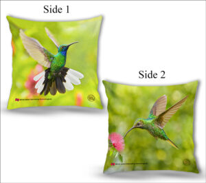 Cushion Covers 18" ( Hummingbirds ) White Tailed Sabrewing Male & Female