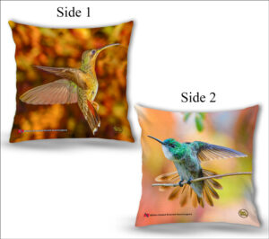 Cushion Covers 18" ( Hummingbirds ) Rufous Breasted Hermit & White-chested Emerald Hummingbird
