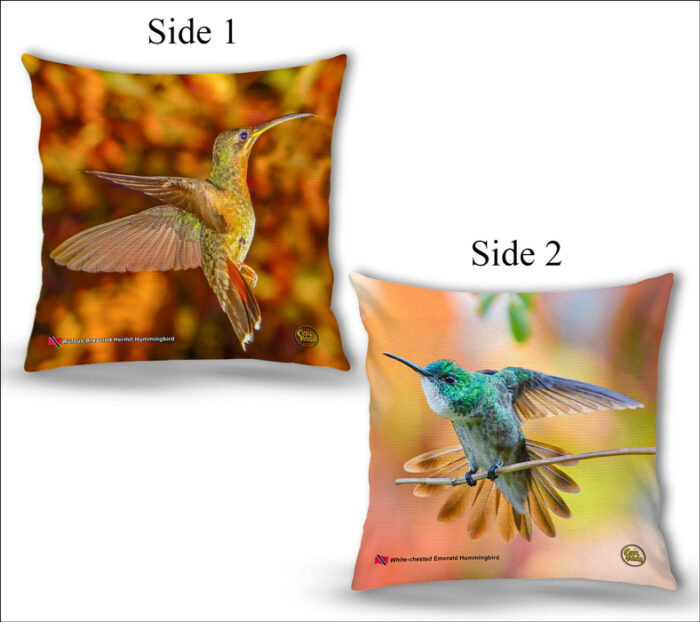 Cushion Covers 18" ( Hummingbirds ) Rufous Breasted Hermit & White-chested Emerald Hummingbird