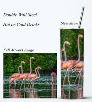 Steel Tumbler 20oz ( Caroni ) Flamingos at Caroni Bird Sanctuary