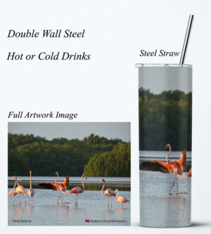 Steel Tumbler 20oz ( Caroni ) Flamingos at Caroni Bird Sanctuary
