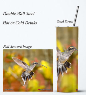 Steel Tumbler 20oz ( Hummingbird ) Green Hermit