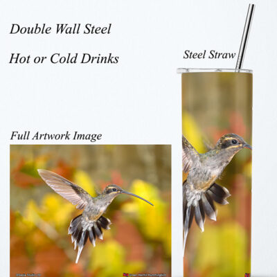 Steel Tumbler 20oz ( Hummingbird ) Green Hermit
