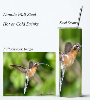 Steel Tumbler 20oz ( Hummingbird ) Little Hermit