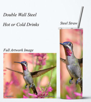 Steel Tumbler 20oz ( Hummingbird ) Long billed Starthroat